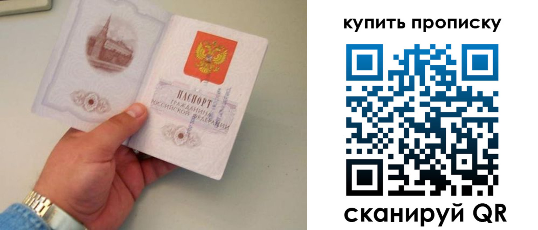 прописка для работы в Сальске